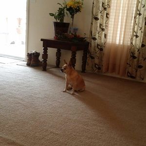 Meet your Posher, Mario